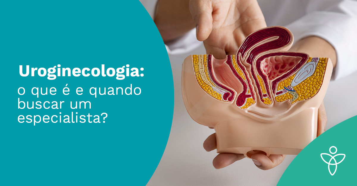 Uroginecologia: o que é e quando buscar um especialista?
