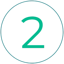 imagens site dr Pedro