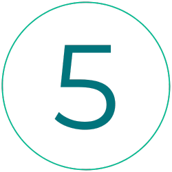 imagens site dr Pedro