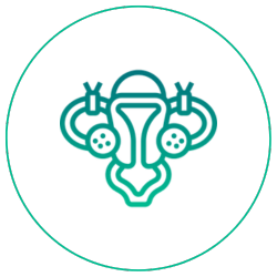 imagens site dr Pedro